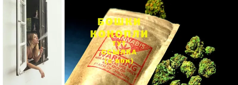 купить наркотик  Ленинск-Кузнецкий  Бошки Шишки OG Kush 